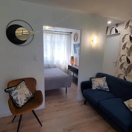 Joli 2 En Centre - Parking Et Jardin Albi