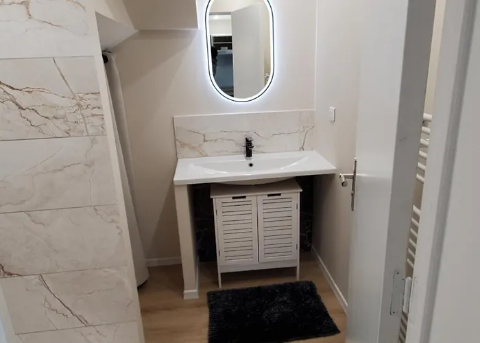 Apartment Joli 2 En Centre - Parking Et Jardin Albi