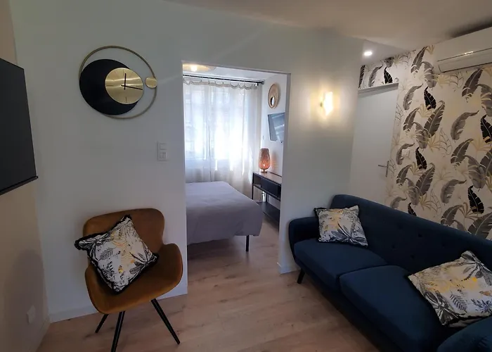 Joli 2 En Centre - Parking Et Jardin Albi