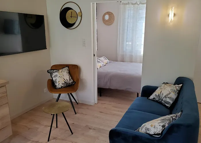 Joli 2 En Centre - Parking Et Jardin * Albi