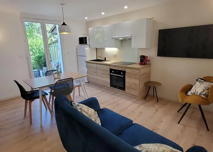 Joli 2 En Centre - Parking Et Jardin * Albi